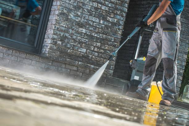 Best Residential Pressure Washing in New Prague, MN